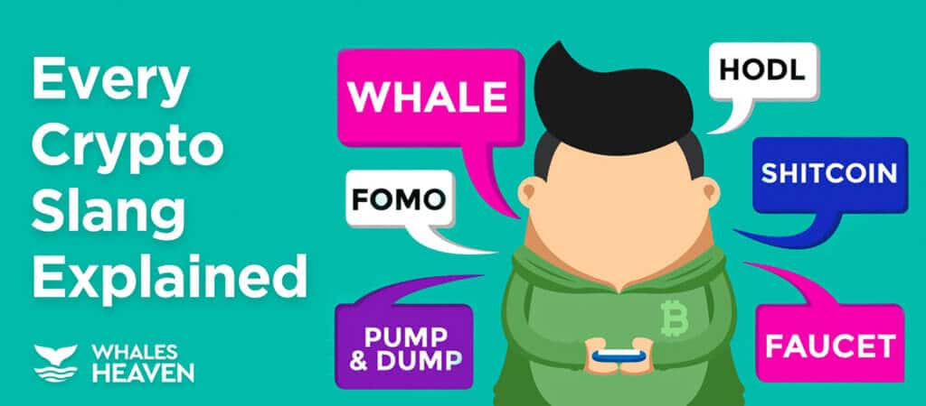 A guy with a bitcoin logo sweater reading crypto slangs,surrounded by the words: Whale. Fomo, Hodl. Pump & Dump, Faucet, and shitcoin.